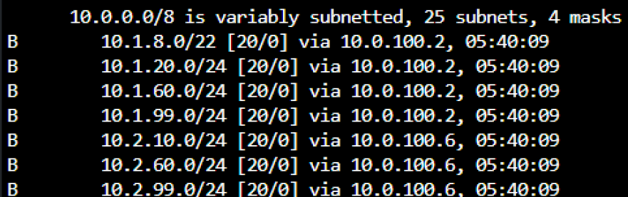 Figure 2: BGP neighbor and routing evidence